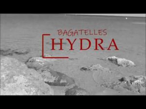 Lire la suite à propos de l’article BAGATELLES rend hommage à l&rsquo;île d&rsquo;Hydra avec une ballade hors du temps