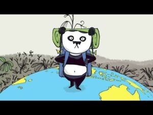 Lire la suite à propos de l’article Ego le Cachalot reprend le large avec un quatrième album plein d&rsquo;aventures